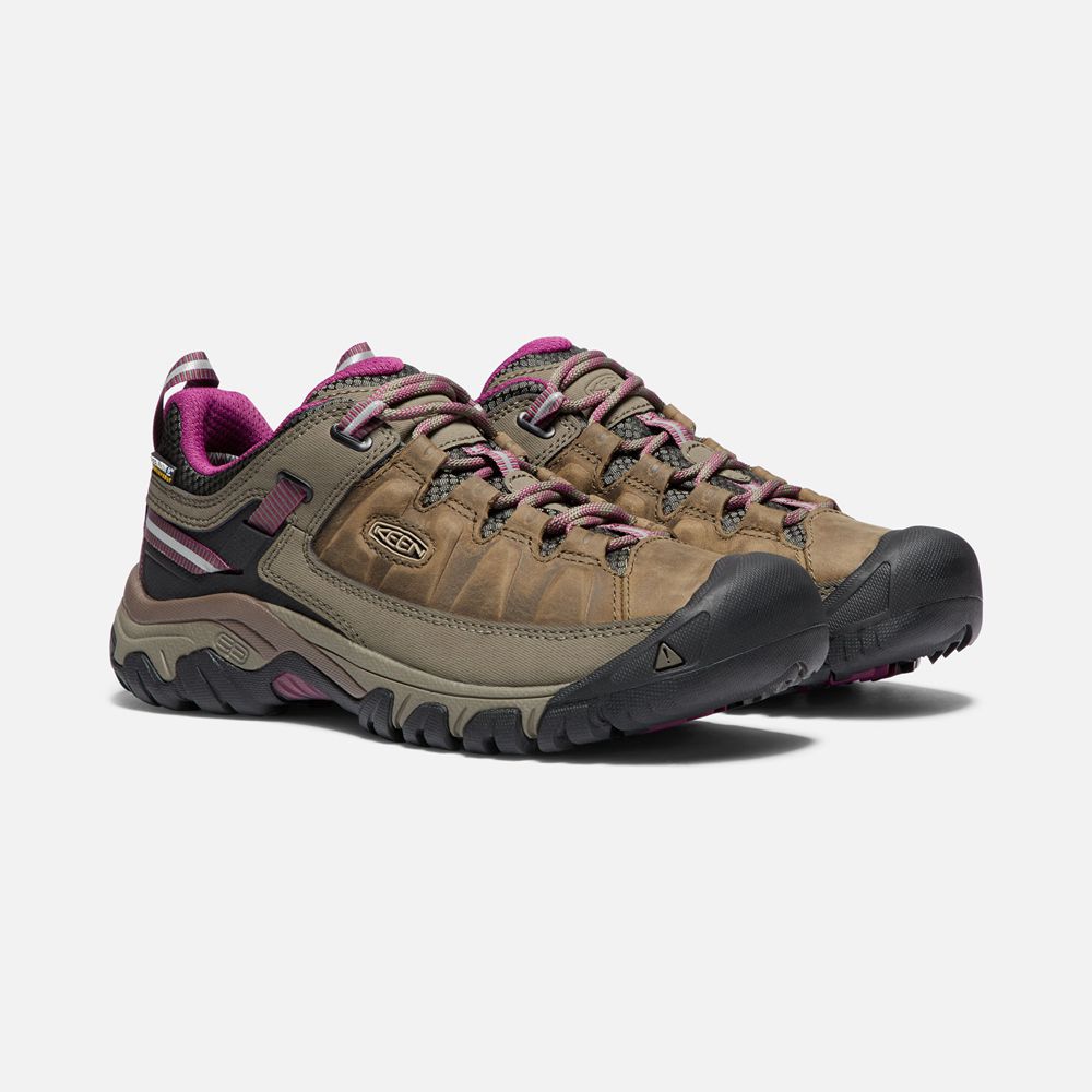 Chaussure de Randonnée Keen Femme Marron | Targhee Iii Waterproof | SMJNY-4509